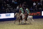 Quadrille - 00237